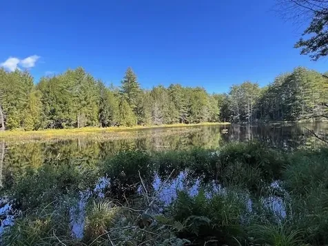 296 Abijah Bridge Road Weare NH 03281