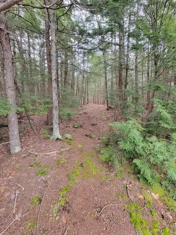 154 Woodbound Road Rindge NH 03461