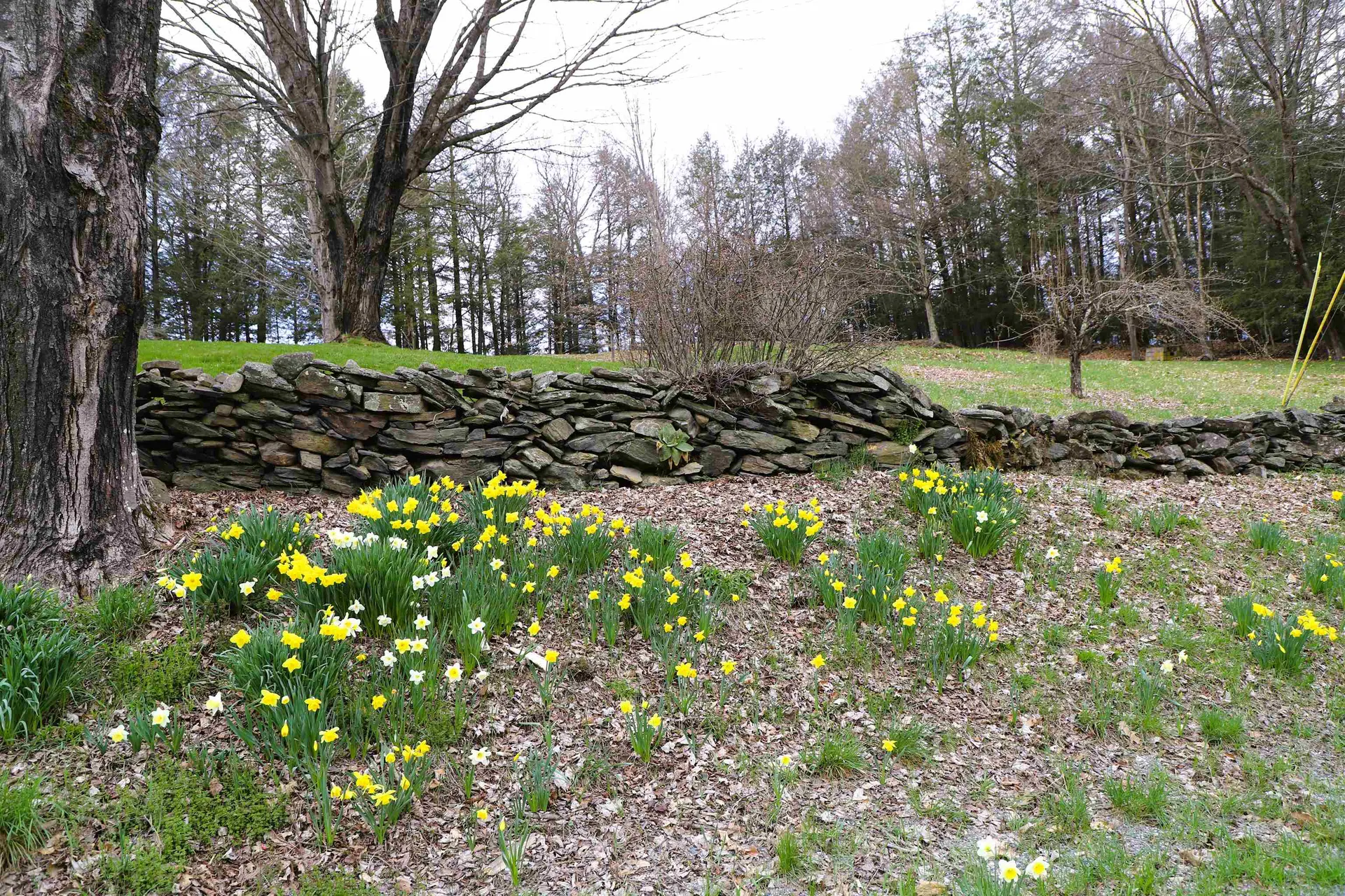 298 Sweet Pond Road Guilford VT 05301