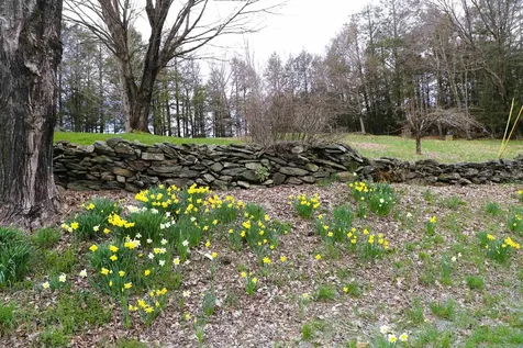 298 Sweet Pond Road Guilford VT 05301