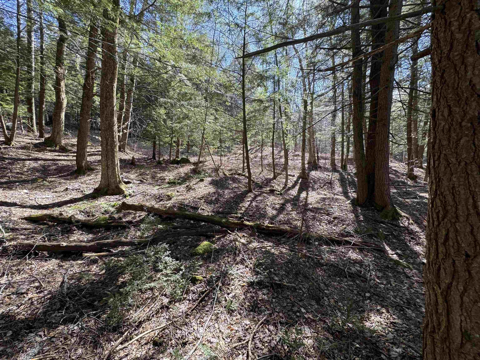 00 Crescent Lake Road Acworth NH 03601