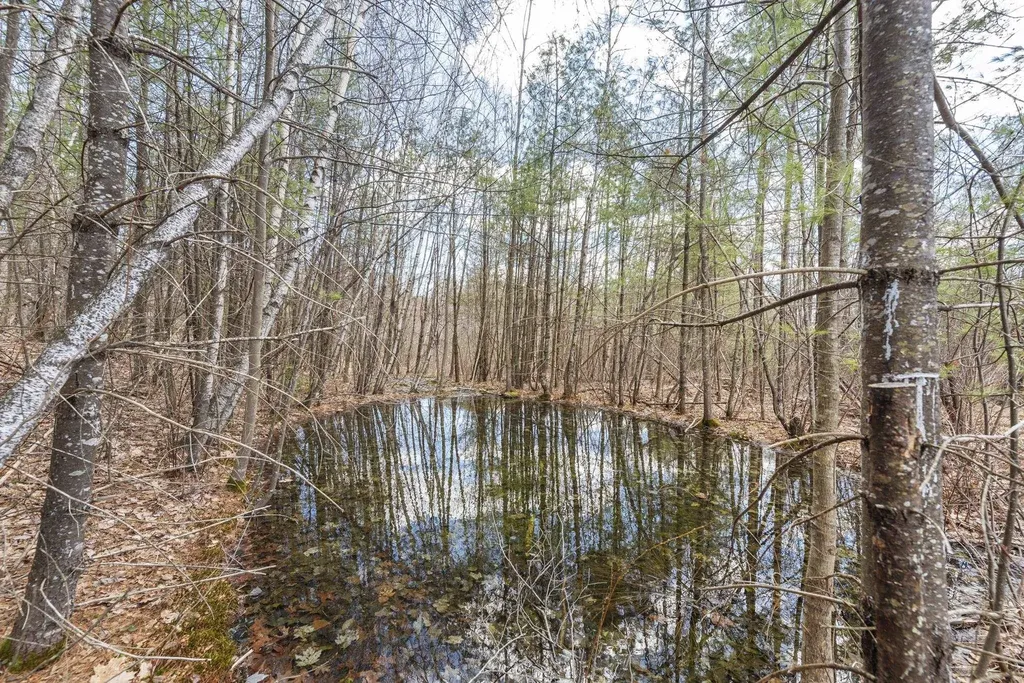 858 Hall Road Bristol NH 03222