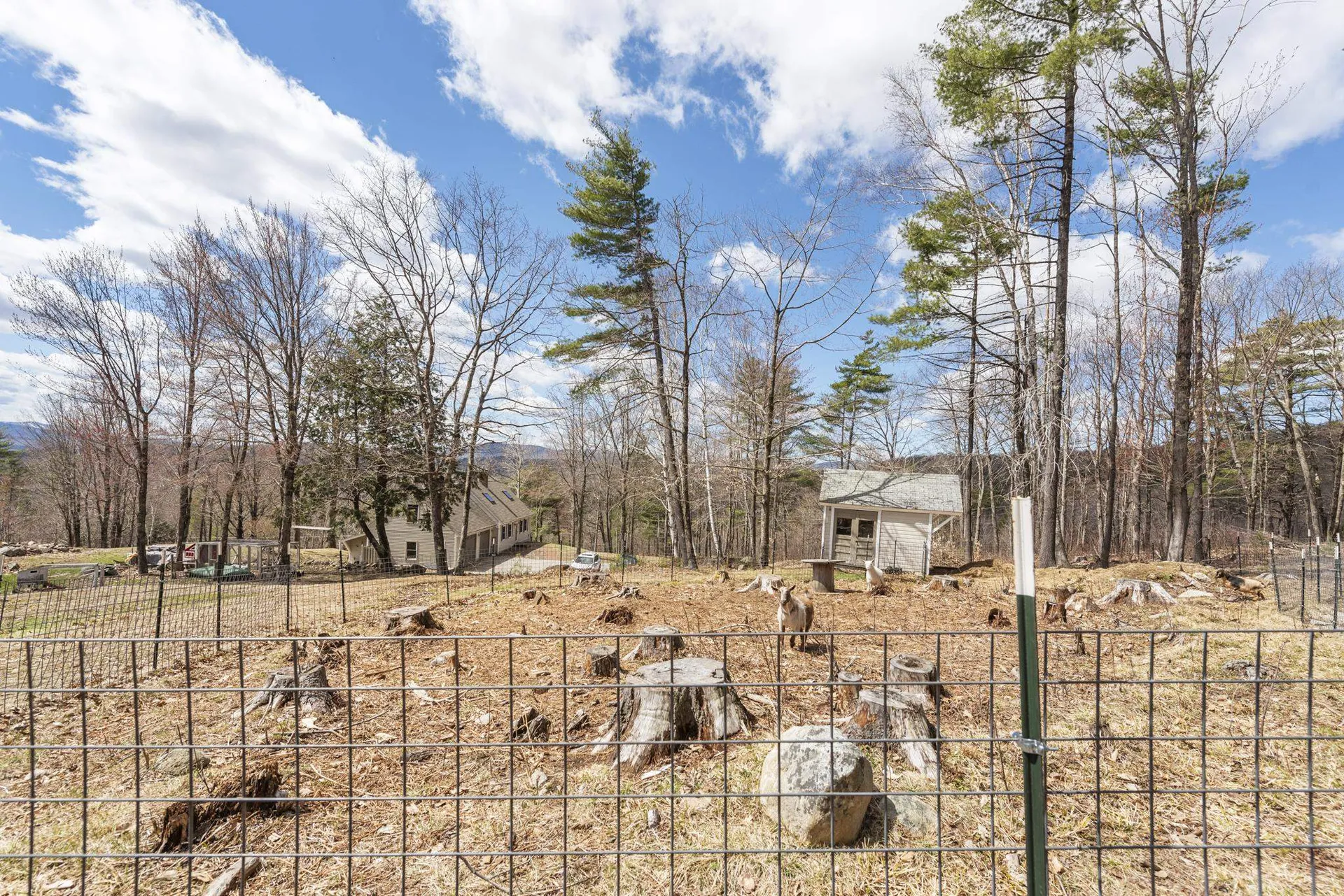 858 Hall Road Bristol NH 03222