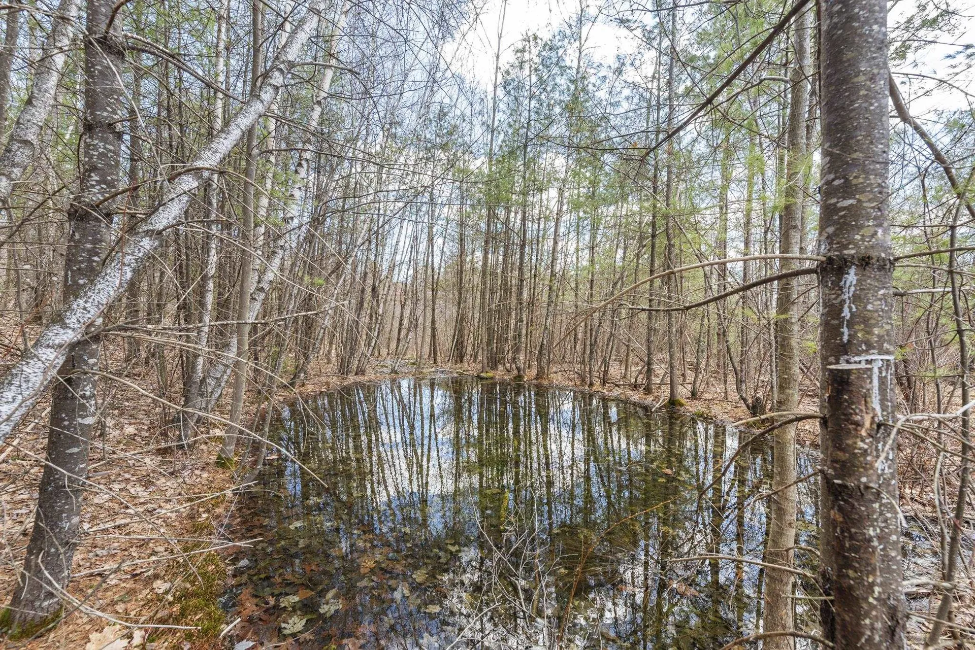 858 Hall Road Bristol NH 03222