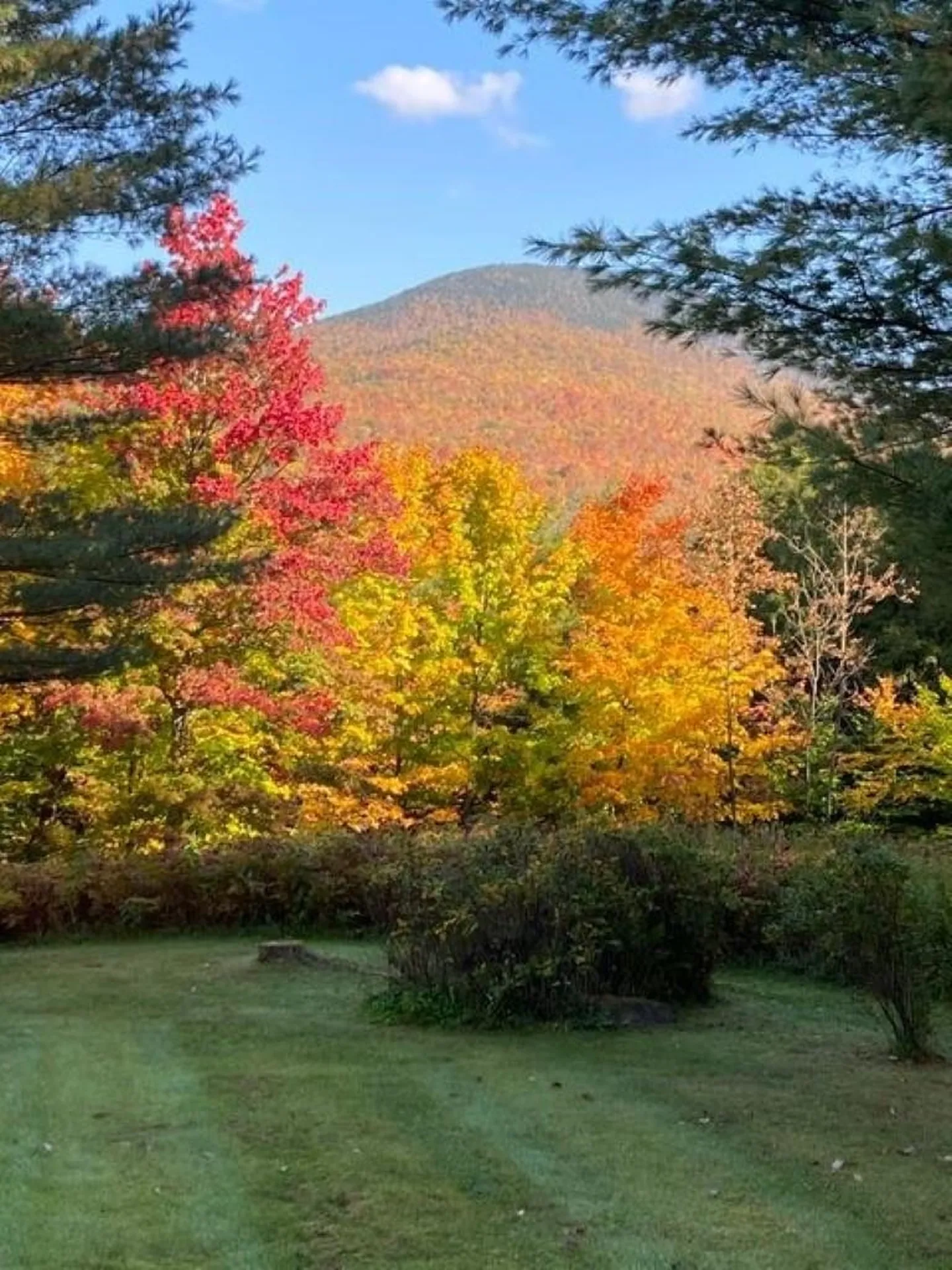 305 Fisher Road Montgomery VT 05471