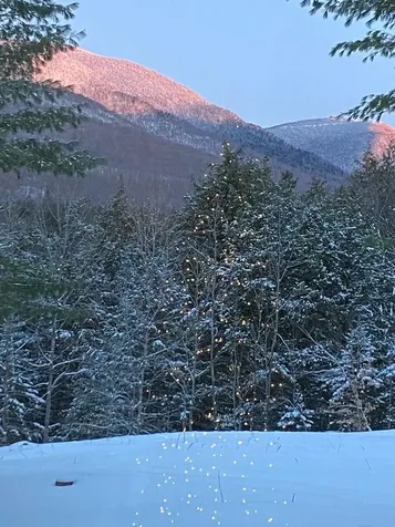 305 Fisher Road Montgomery VT 05471