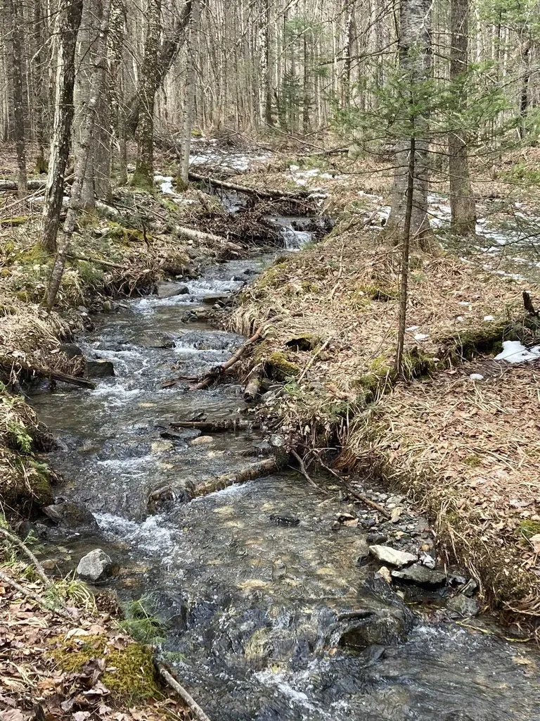 344 Faraway Road Dalton NH 03598