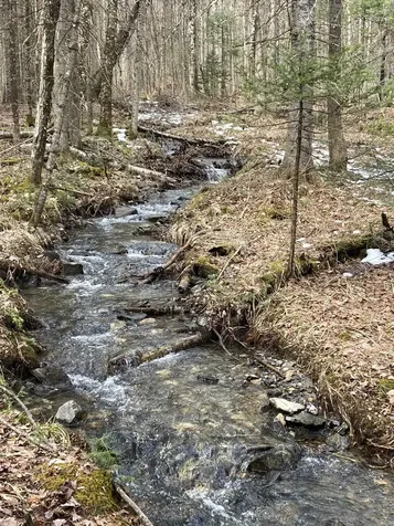 344 Faraway Road Dalton NH 03598