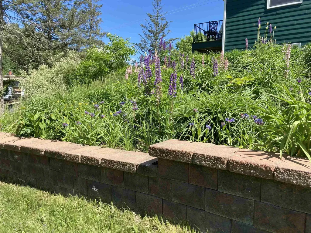 14 Greenfield Terrace Montpelier VT 05602