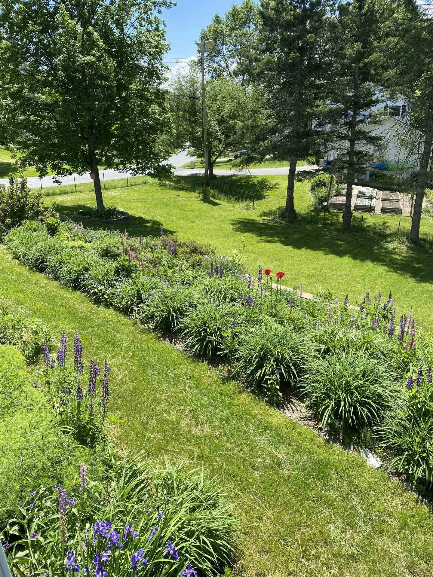 14 Greenfield Terrace Montpelier VT 05602