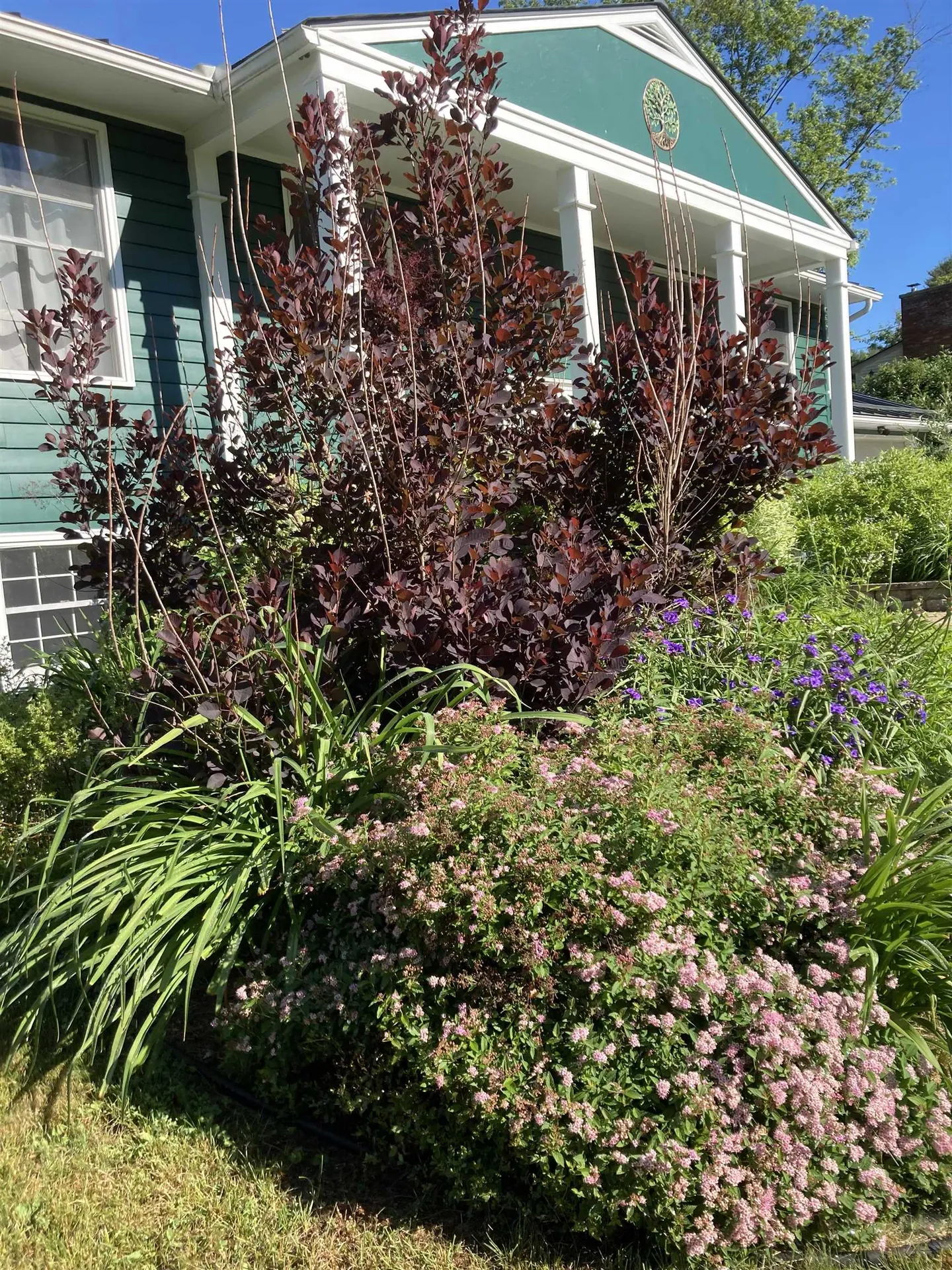 14 Greenfield Terrace Montpelier VT 05602