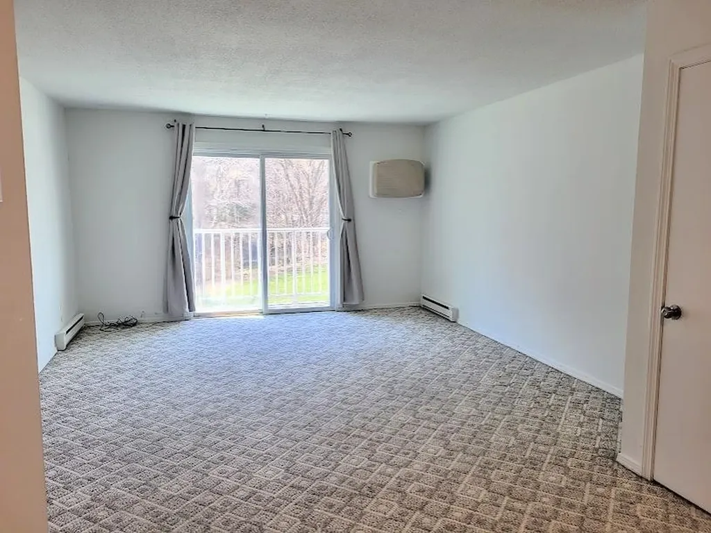 68e Constitution Drive Londonderry NH 03053