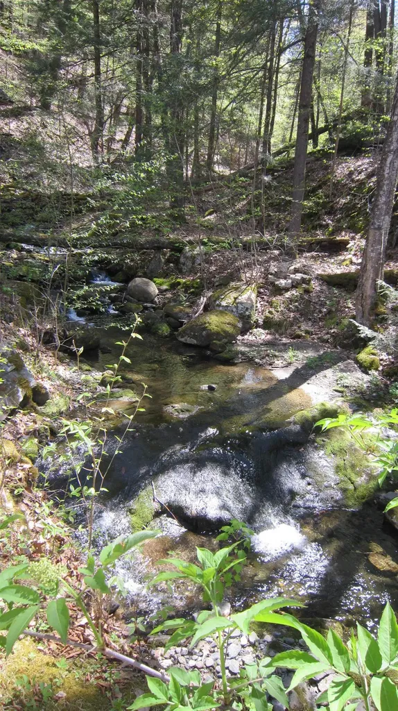 335 Depot Road Newfane VT 05345