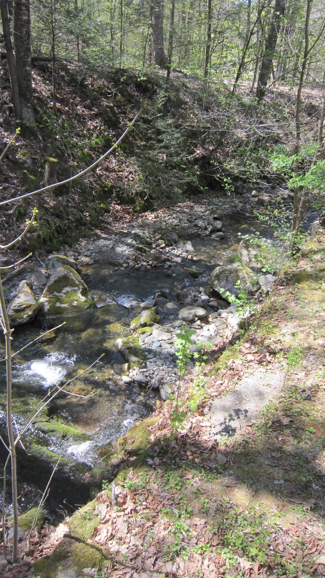 335 Depot Road Newfane VT 05345