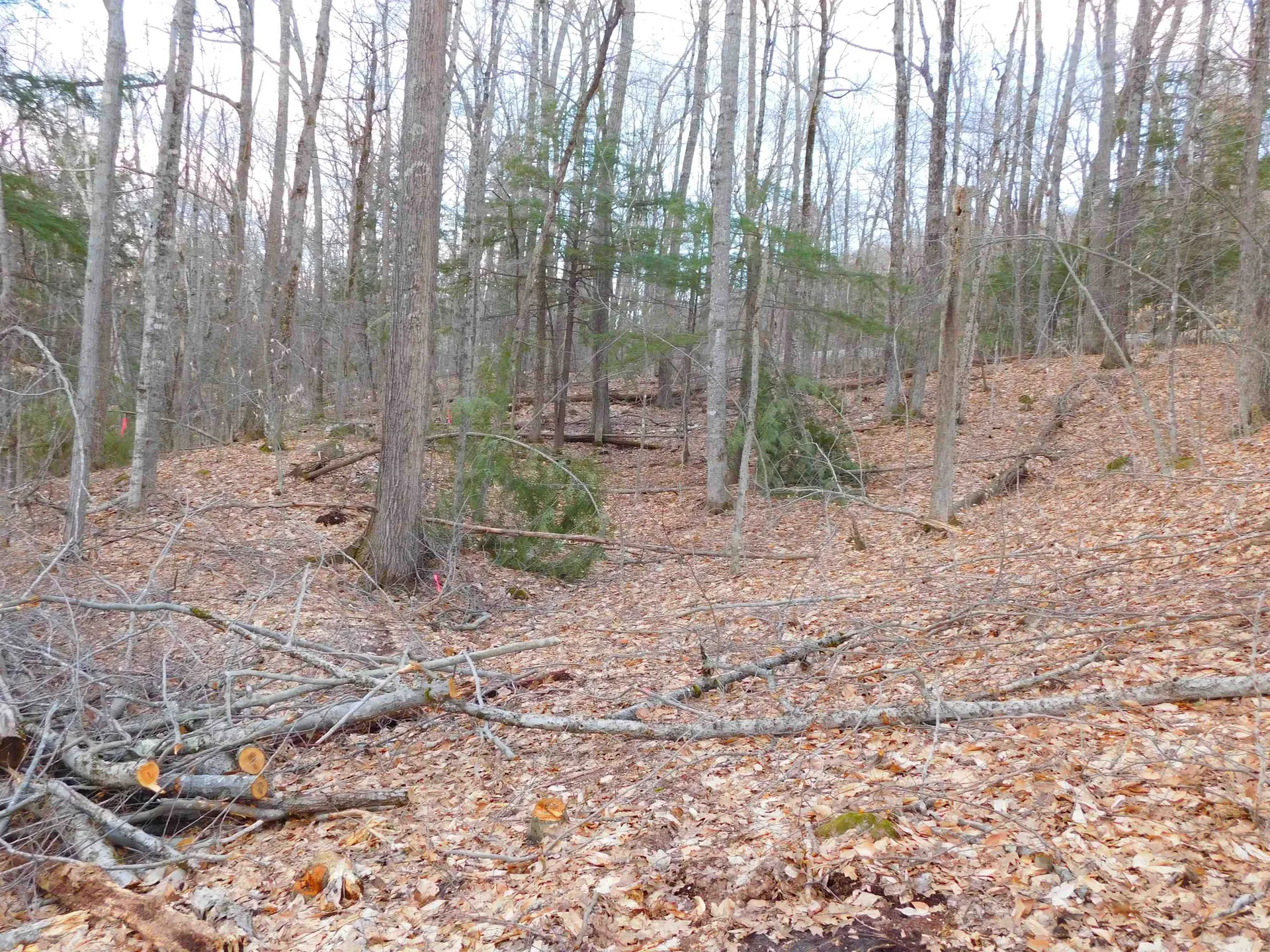 0 Crew Road Wakefield NH 03872