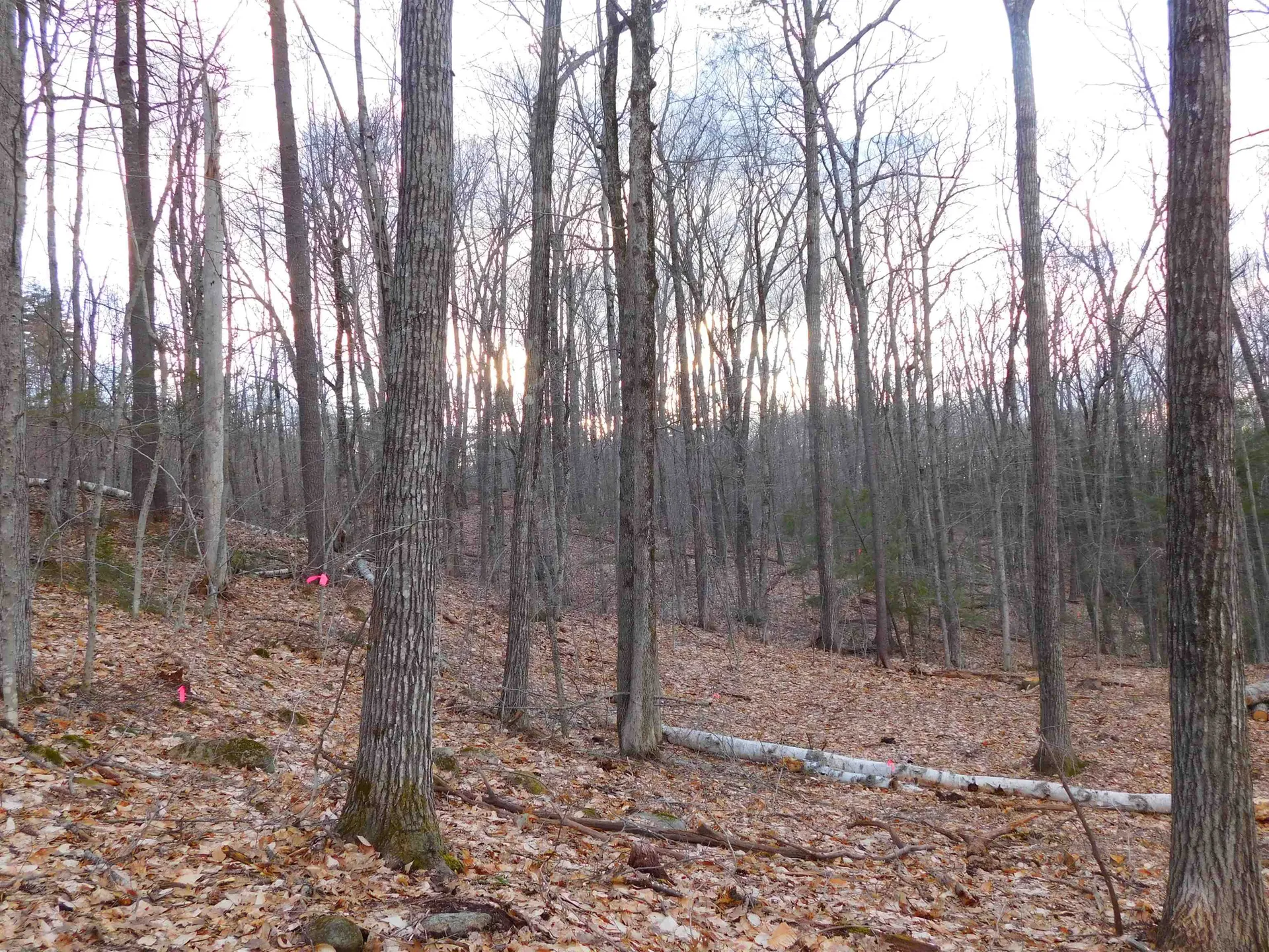 0 Crew Road Wakefield NH 03872