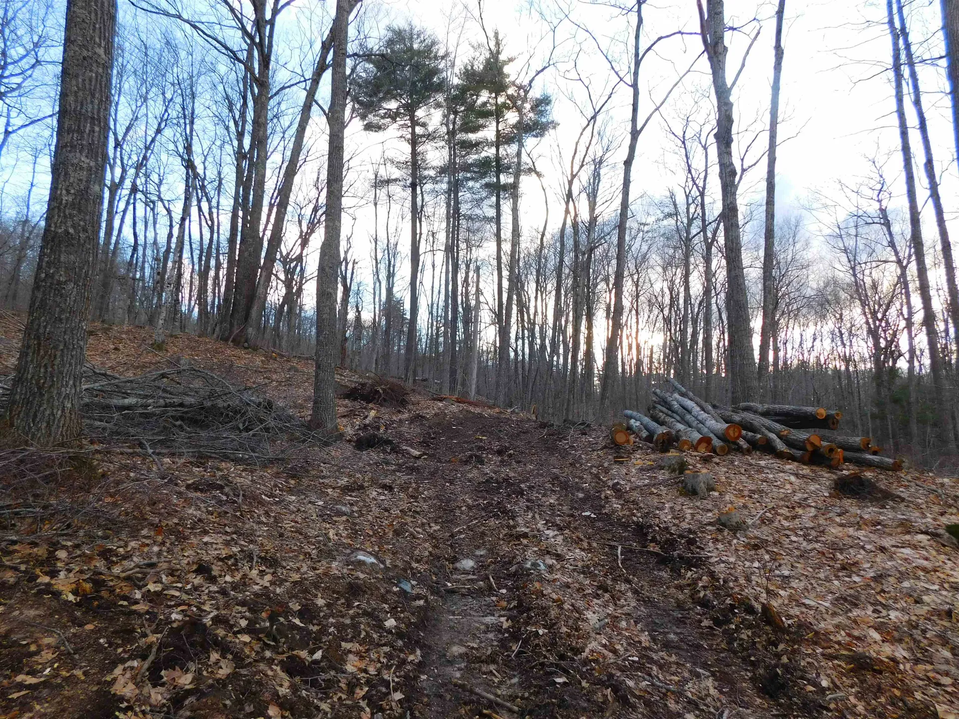 0 Crew Road Wakefield NH 03872