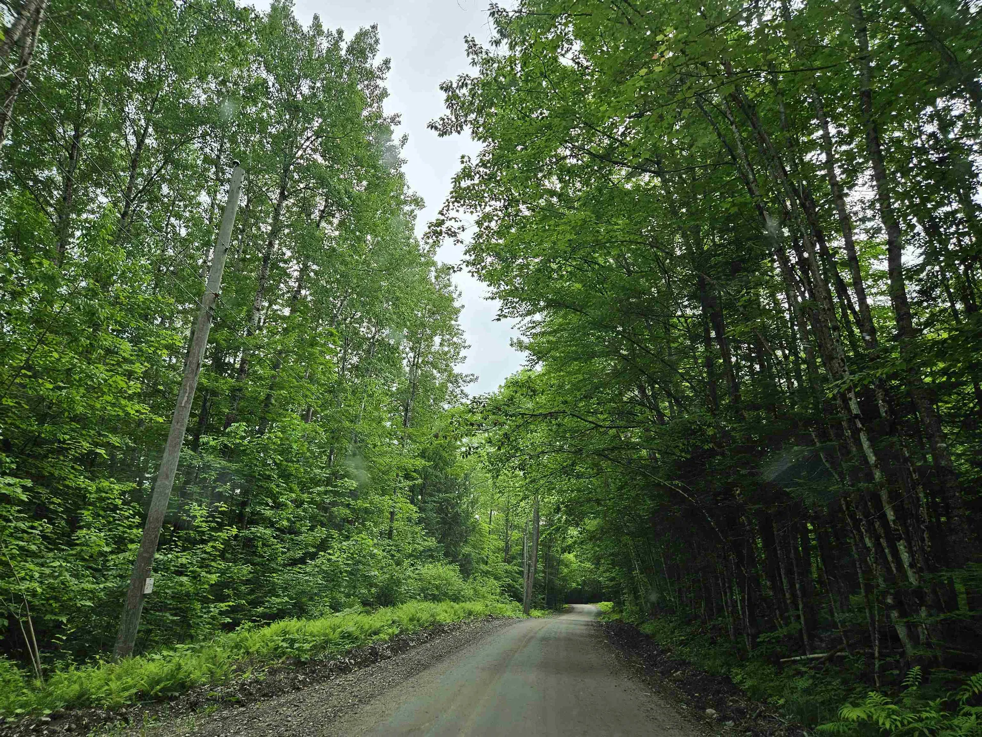 Lot 90 Faraway Road Dalton NH 03598