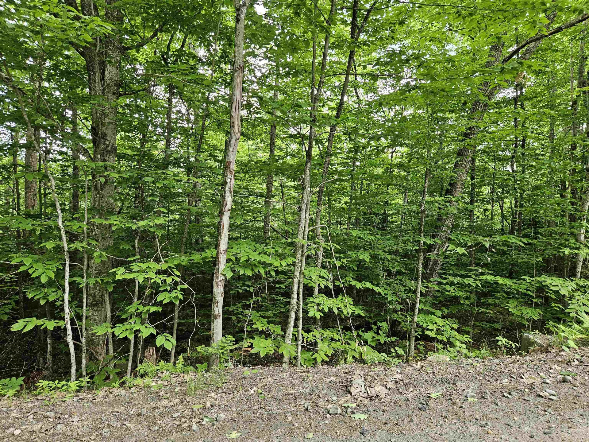 Lot 90 Faraway Road Dalton NH 03598