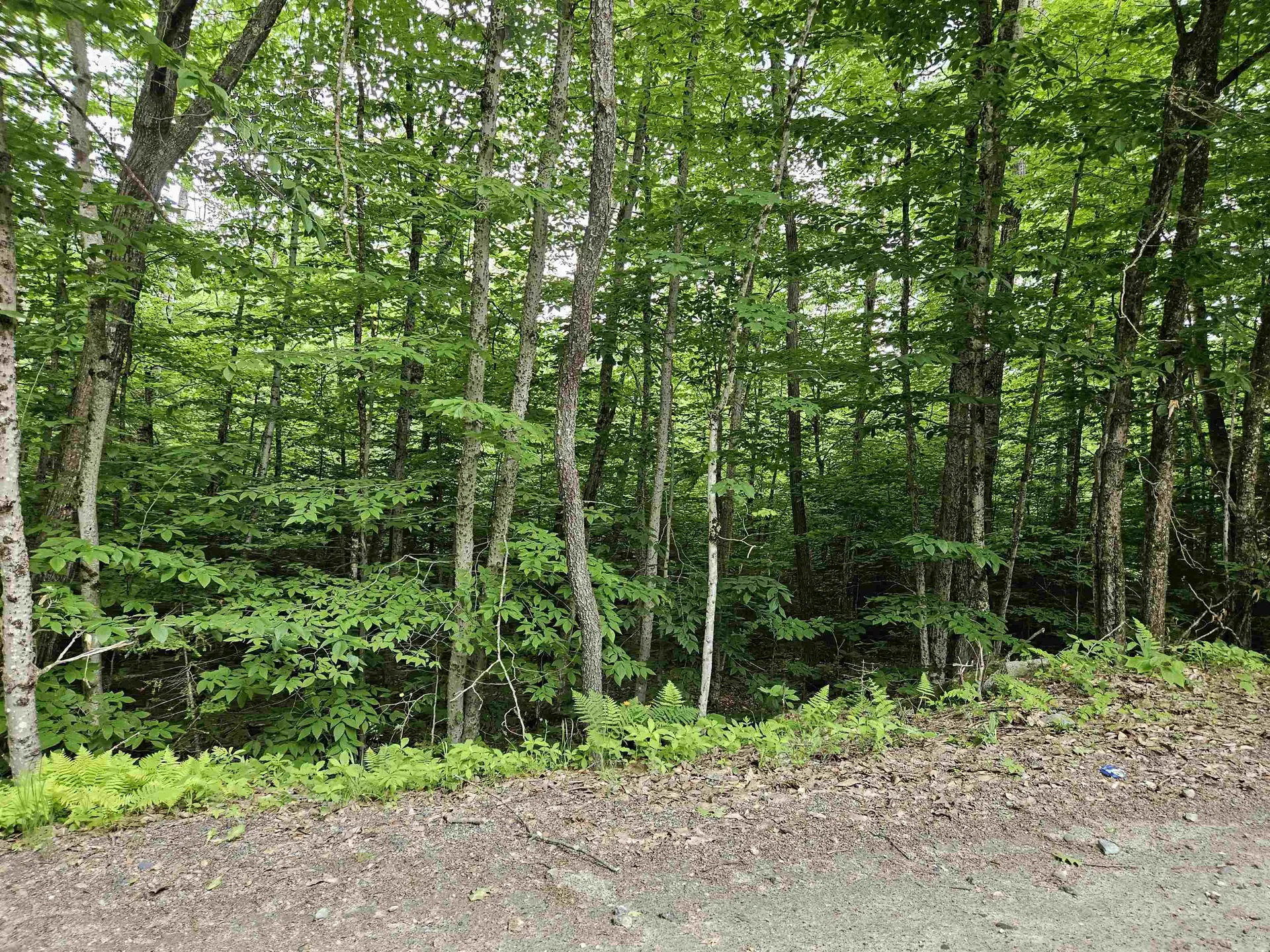 Lot 90 Faraway Road Dalton NH 03598