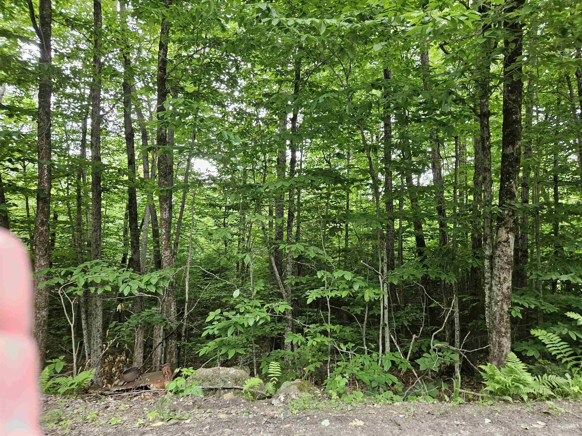 Lot 90 Faraway Road Dalton NH 03598