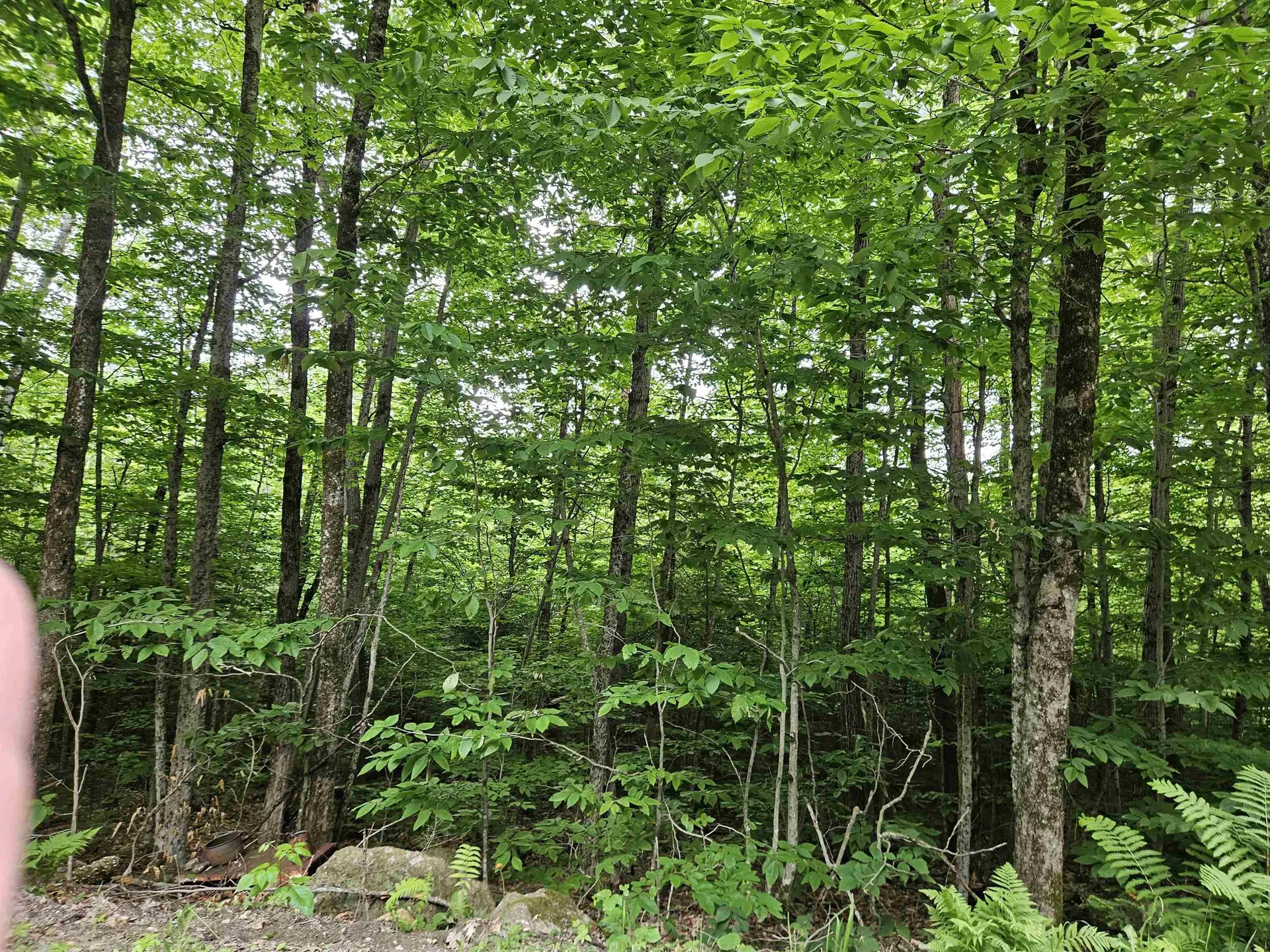 Lot 90 Faraway Road Dalton NH 03598