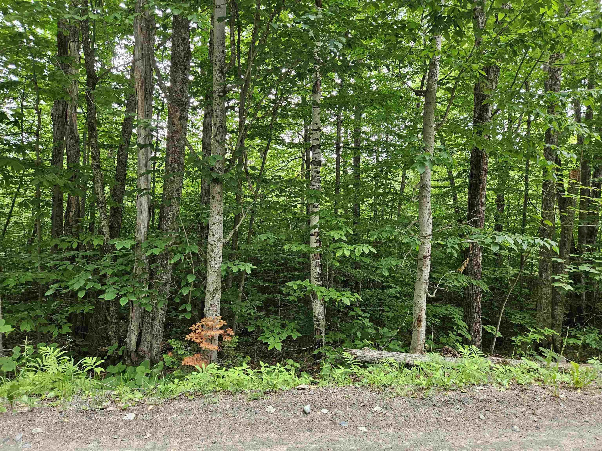 Lot 90 Faraway Road Dalton NH 03598