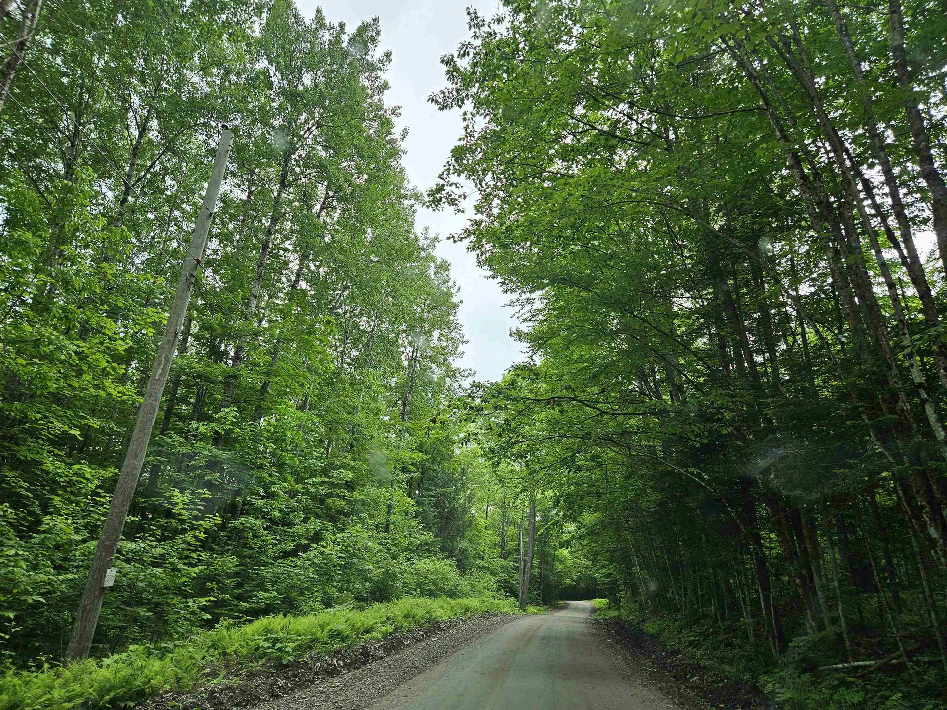 Lot 90 Faraway Road Dalton NH 03598