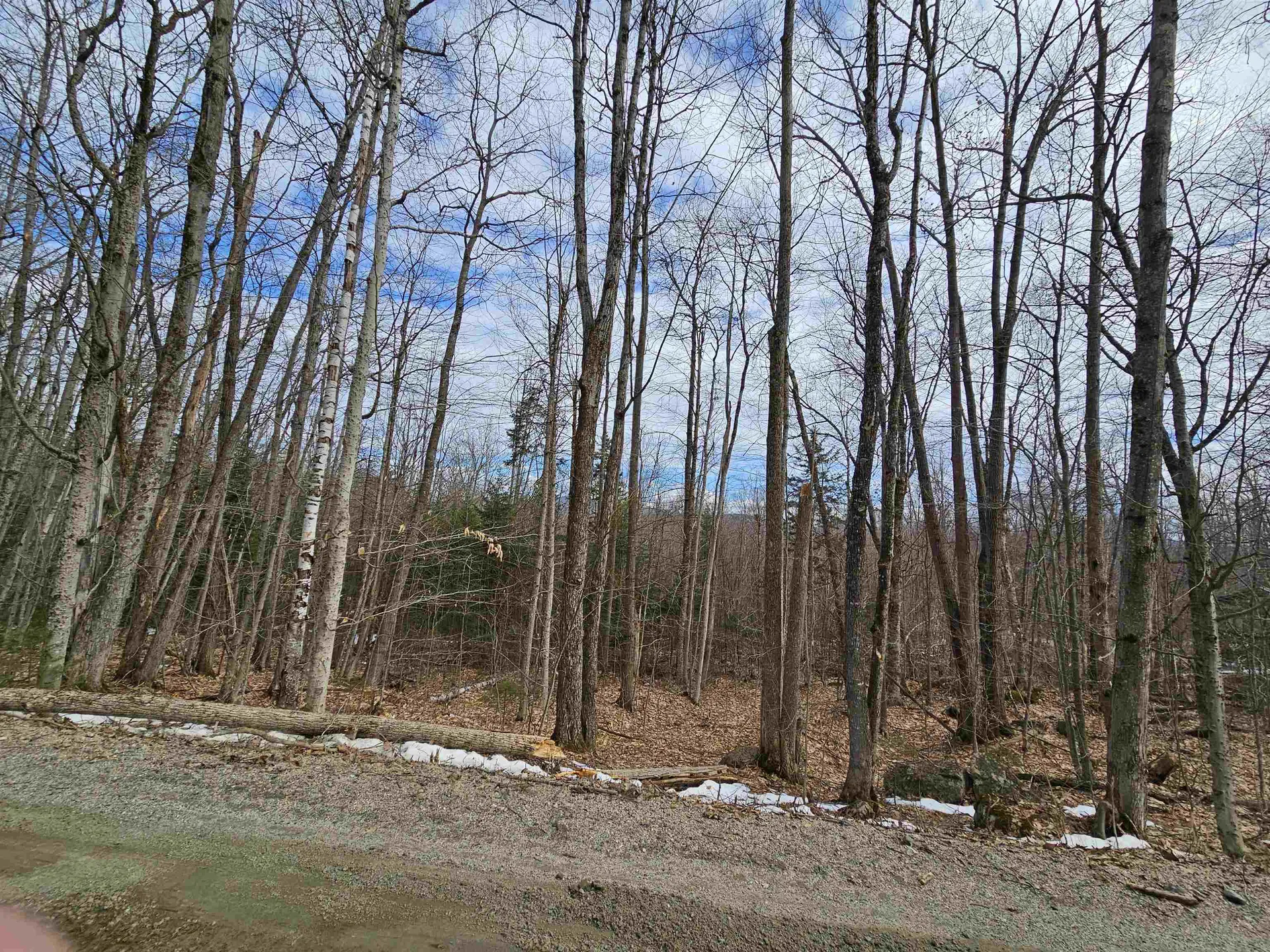Lot 90 Faraway Road Dalton NH 03598