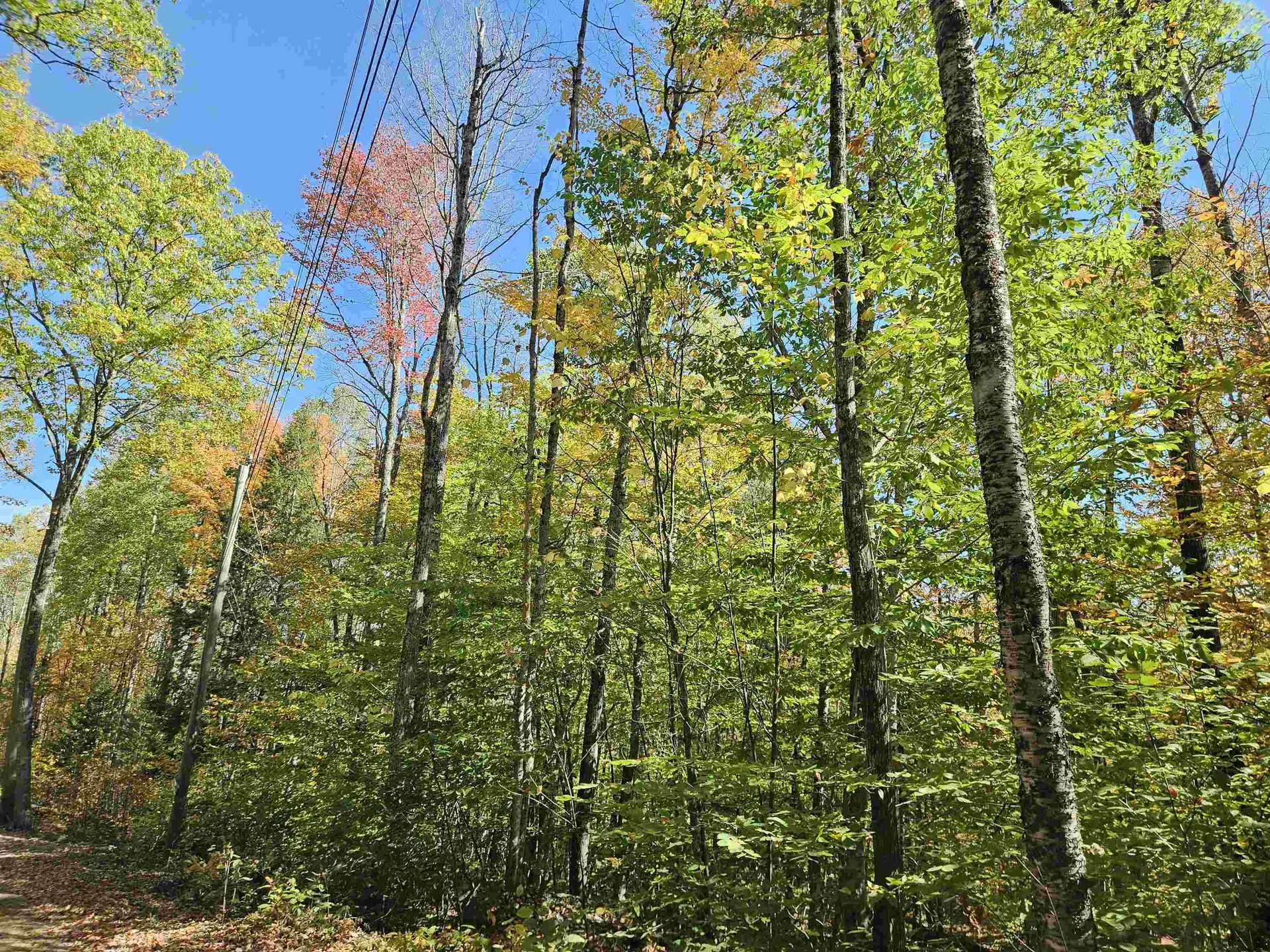 Lot 90 Faraway Road Dalton NH 03598