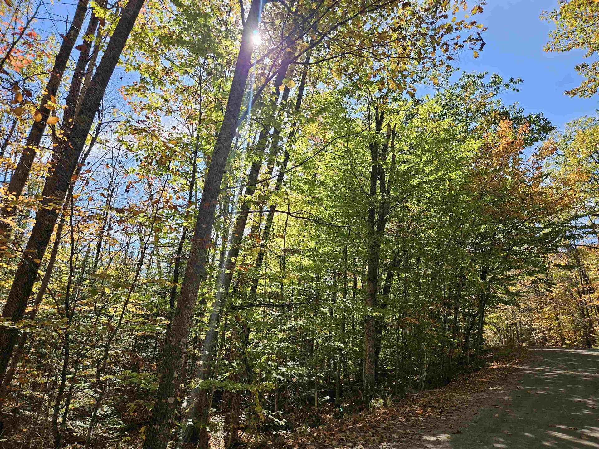 Lot 90 Faraway Road Dalton NH 03598