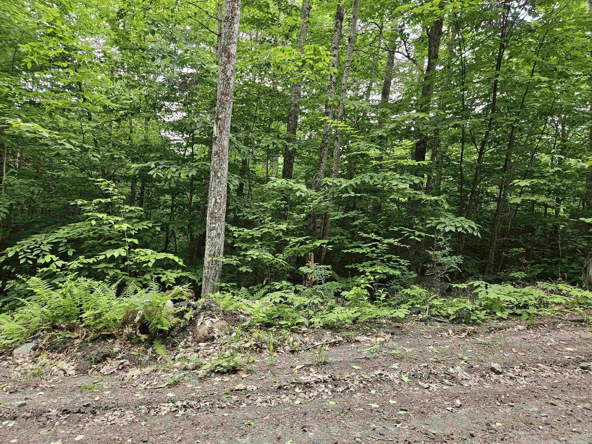 Lot 90 Faraway Road Dalton NH 03598