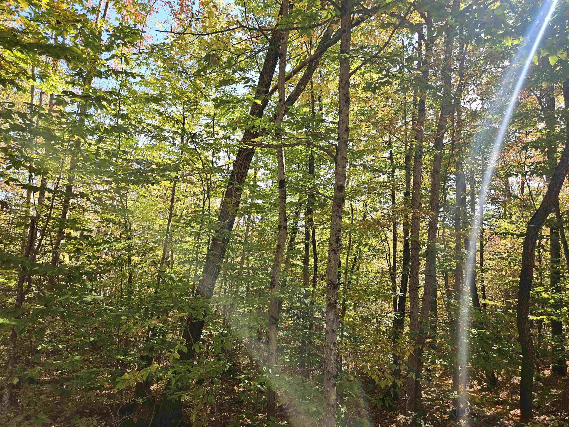 Lot 90 Faraway Road Dalton NH 03598