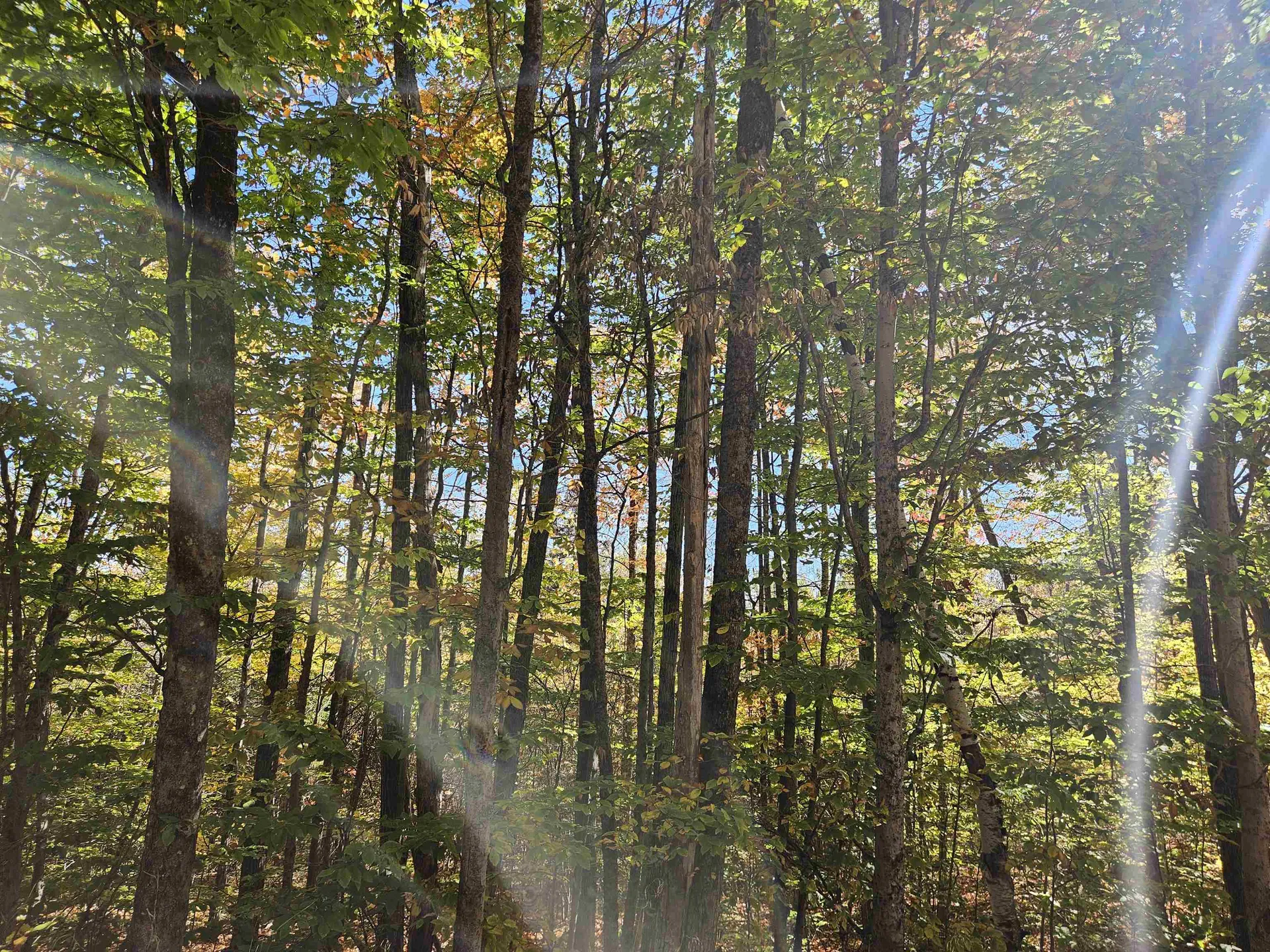 Lot 90 Faraway Road Dalton NH 03598