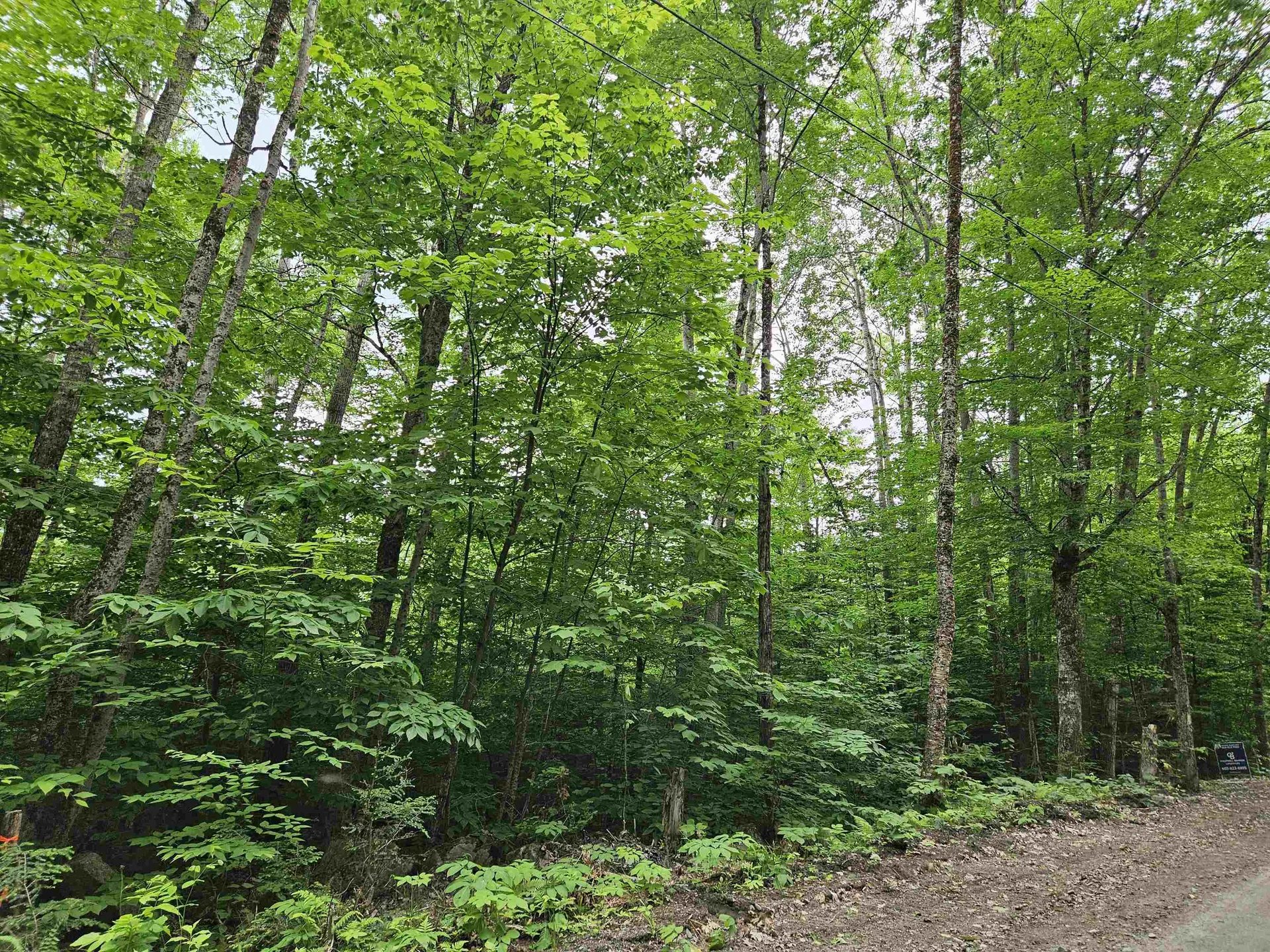 Lot 90 Faraway Road Dalton NH 03598