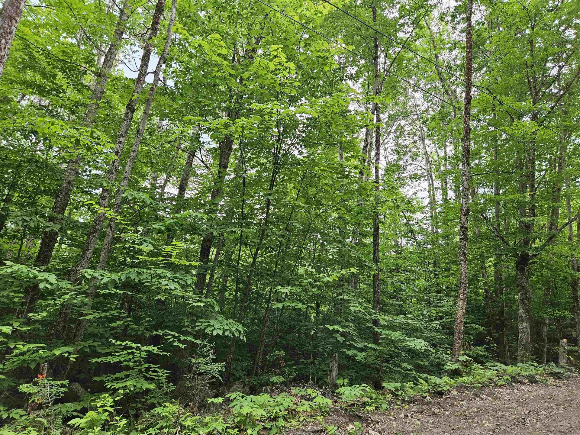 Lot 90 Faraway Road Dalton NH 03598