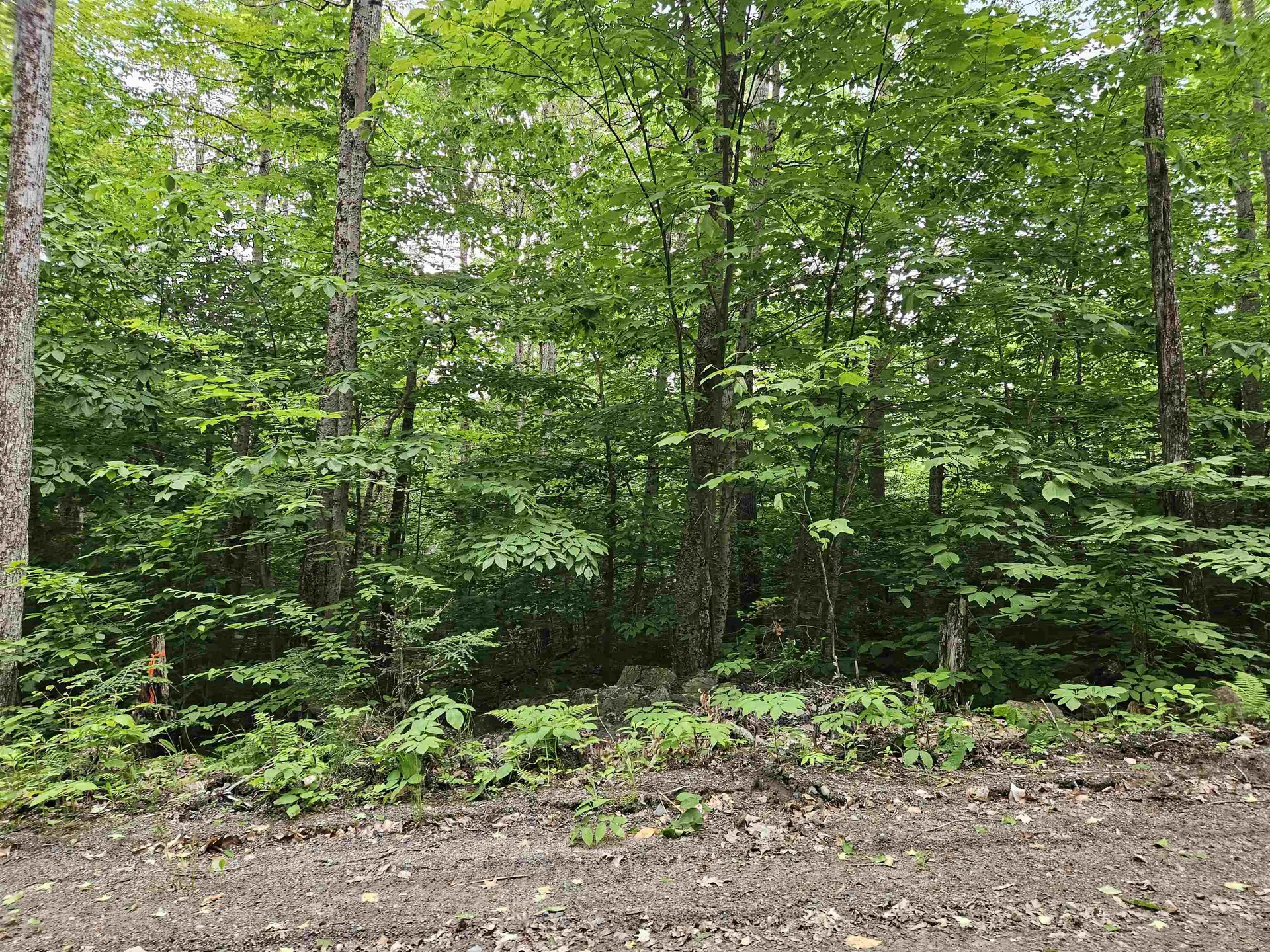 Lot 90 Faraway Road Dalton NH 03598