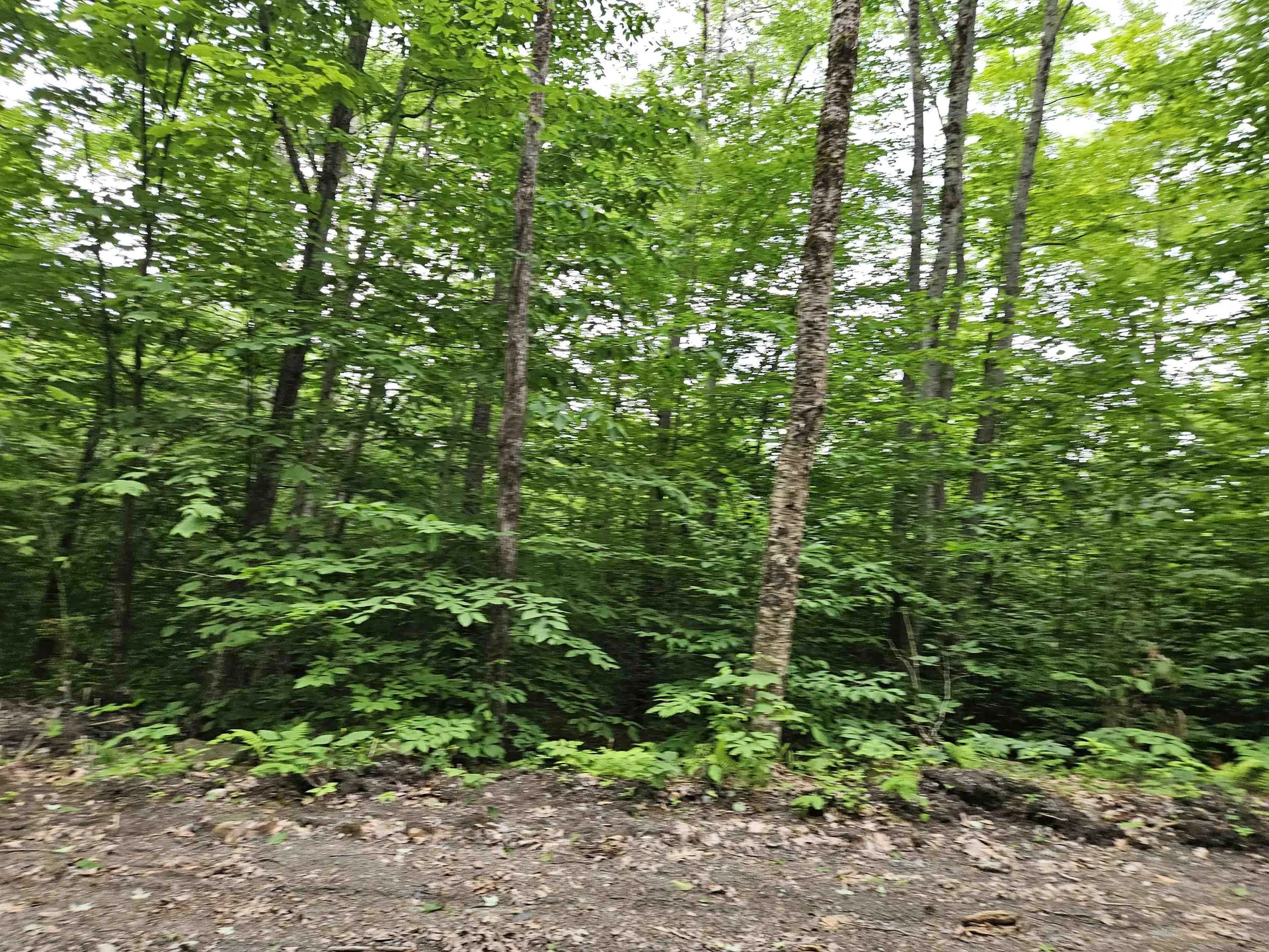 Lot 90 Faraway Road Dalton NH 03598