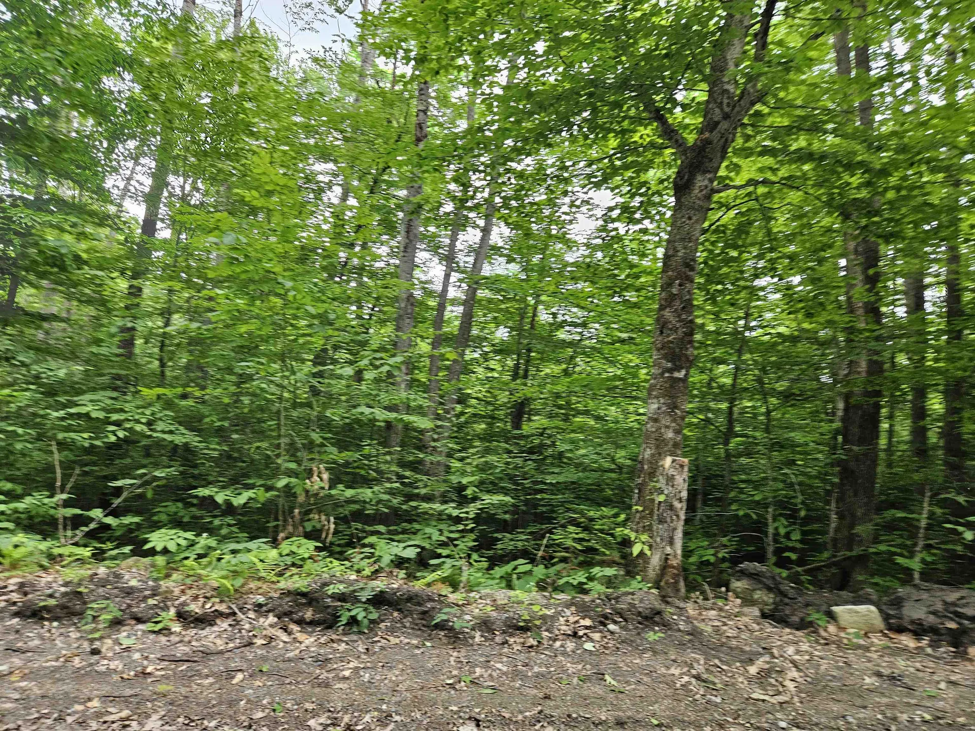 Lot 90 Faraway Road Dalton NH 03598