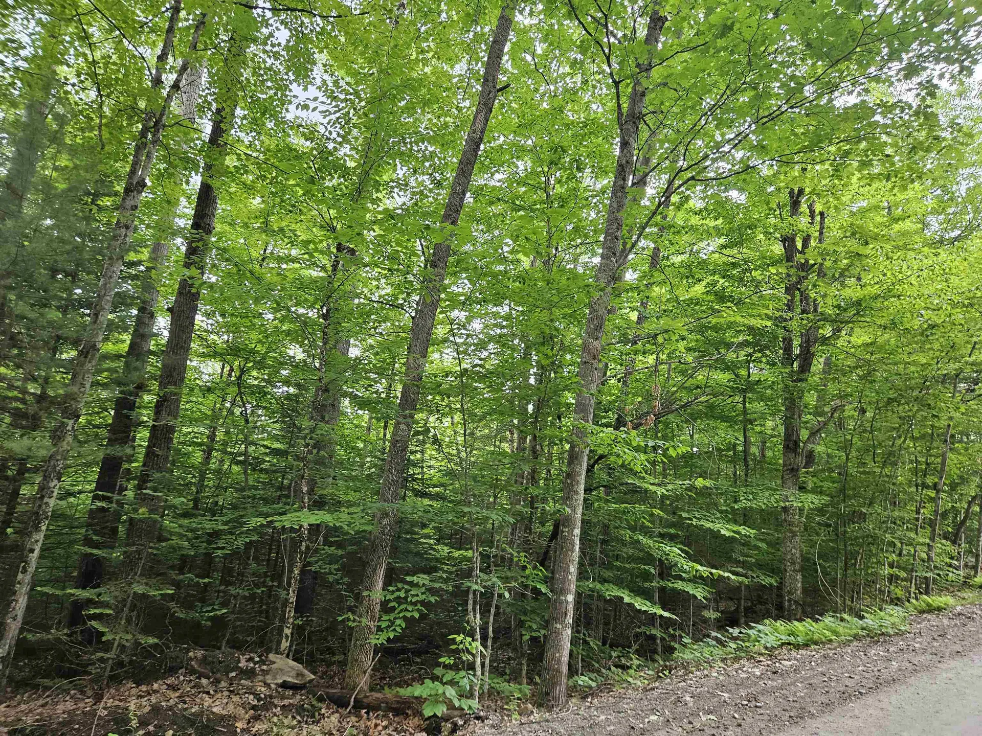 Lot 90 Faraway Road Dalton NH 03598