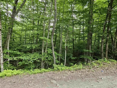 Lot 90 Faraway Road Dalton NH 03598