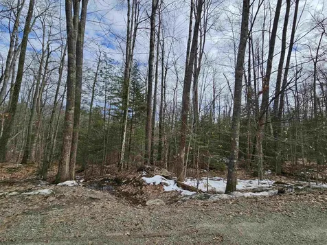 Lot 90 Faraway Road Dalton NH 03598