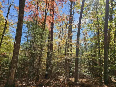 Lot 90 Faraway Road Dalton NH 03598
