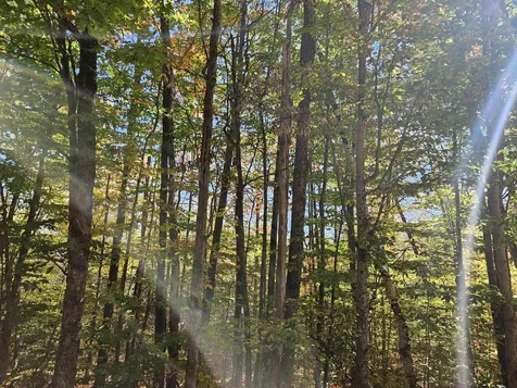 Lot 90 Faraway Road Dalton NH 03598