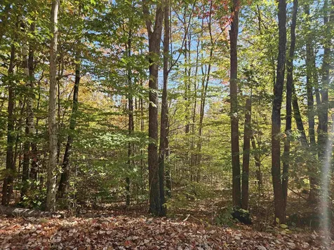 Lot 90 Faraway Road Dalton NH 03598