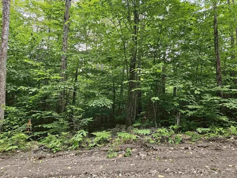 Lot 90 Faraway Road Dalton NH 03598