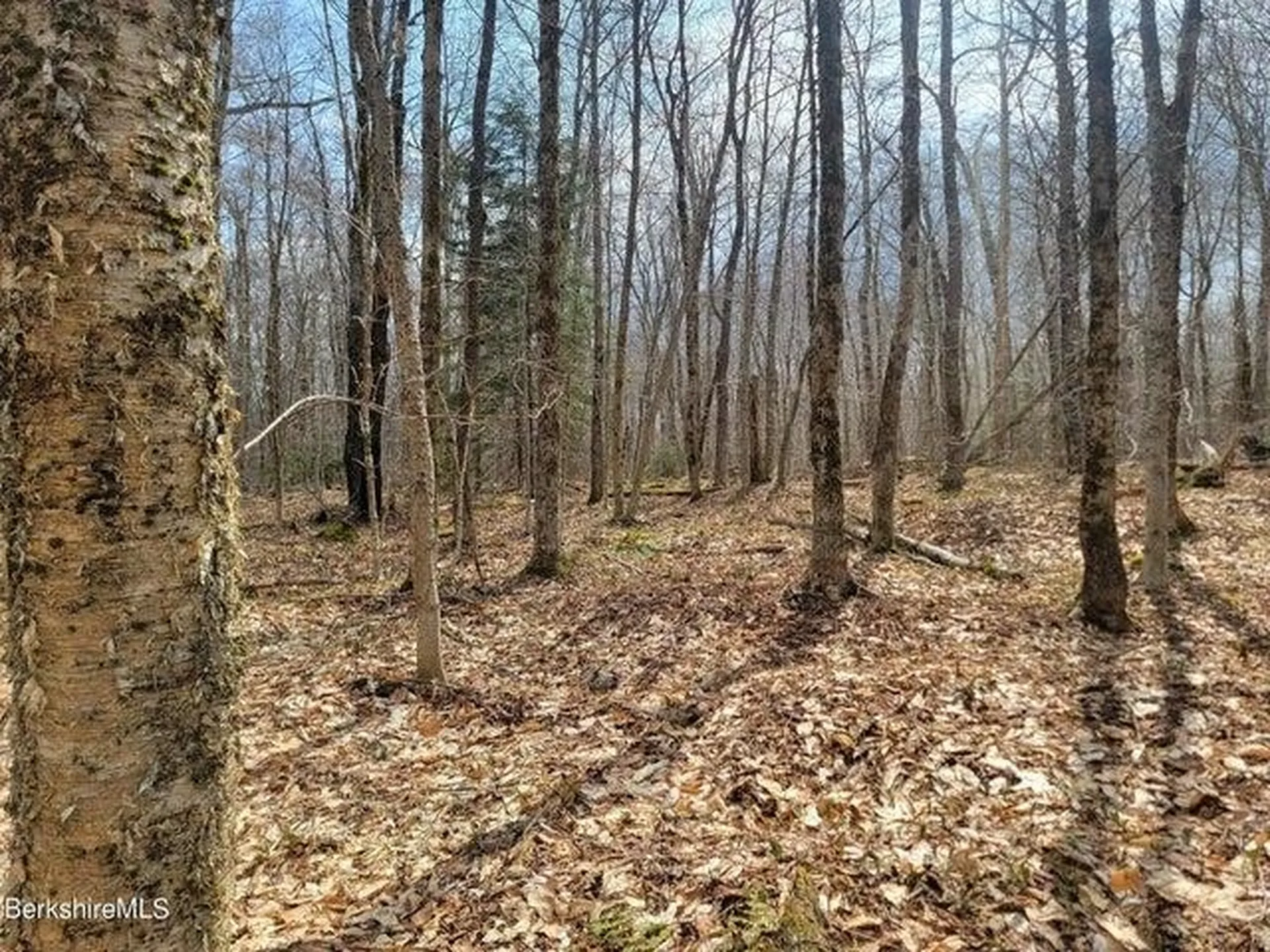 0 County Road Stamford VT 05352