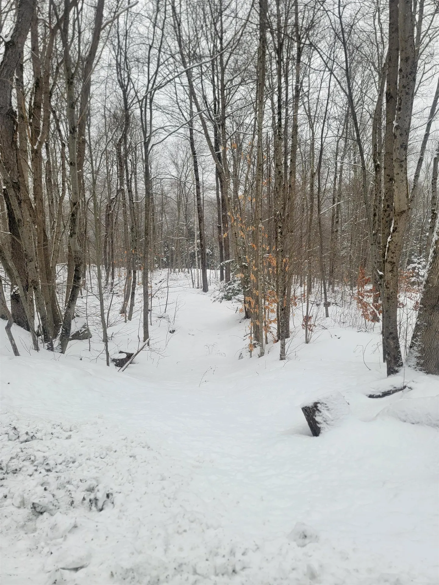 0 County Road Stamford VT 05352