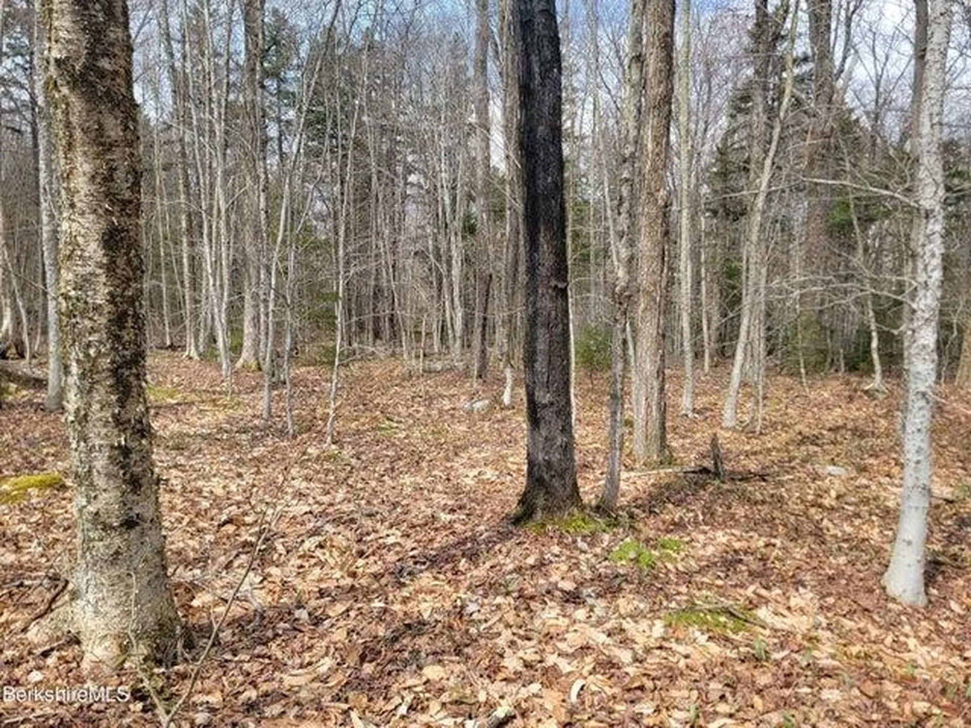 0 County Road Stamford VT 05352