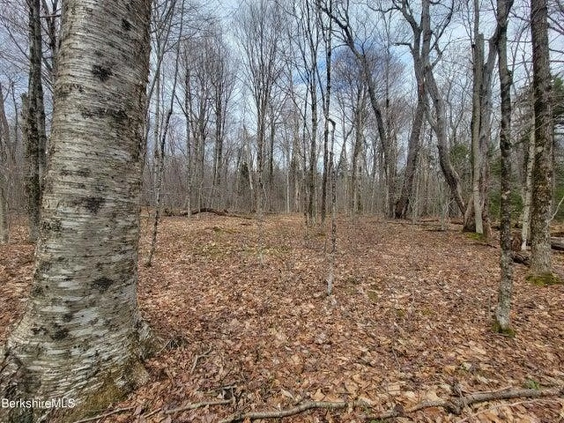 0 County Road Stamford VT 05352